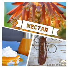 Load image into Gallery viewer, Nectar